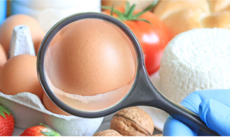 Highest quality wholesale food supplements