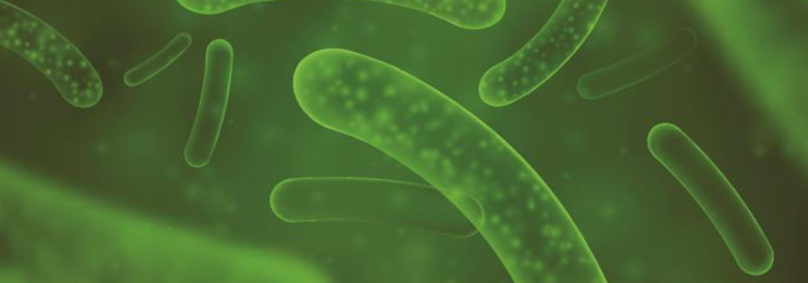 What to look for in probiotic supplements