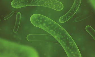 What to look for in probiotic supplements