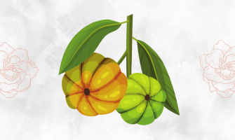 Wholesale garcinia cambogia supplement