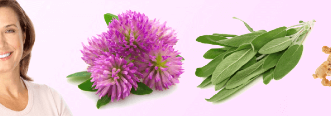 Wholesale menopause supplement supplier