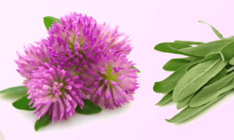 Wholesale menopause supplement supplier