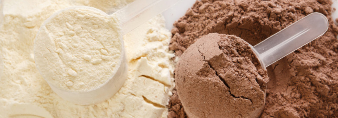 Wholesale protein powder