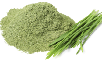 Wholesale wheatgrass powder