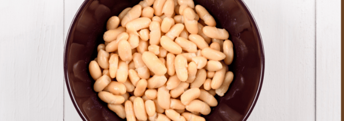 Wholesale white kidney bean extract
